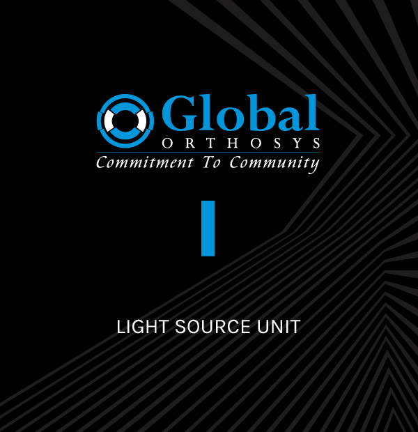 LIGHT SOURCE UNIT